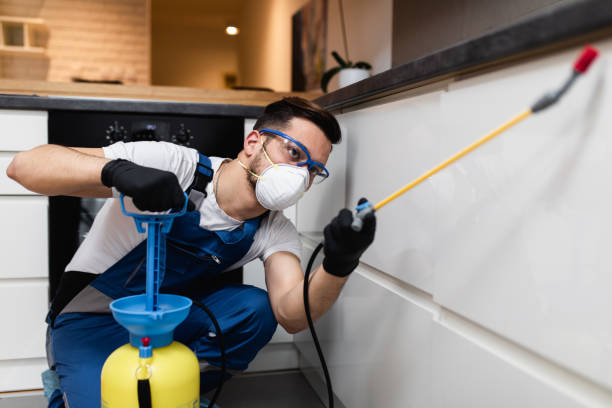 Best Pest Removal Services  in Ossian, IN