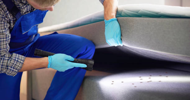 Best Ant Control Services  in Ossian, IN