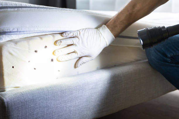 Best Pest Prevention Services  in Ossian, IN